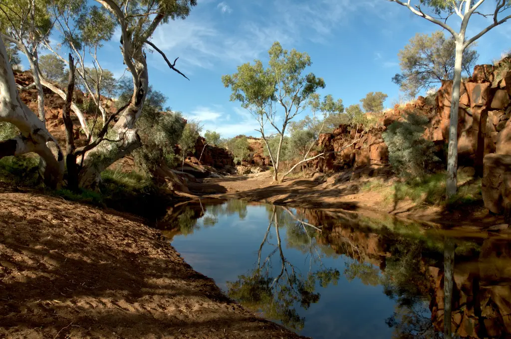 Australian outback